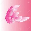 pink dove